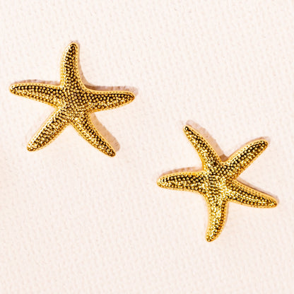 Estrellas De Mar
