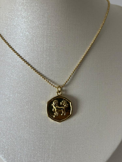 Aries Signo Zodiacal